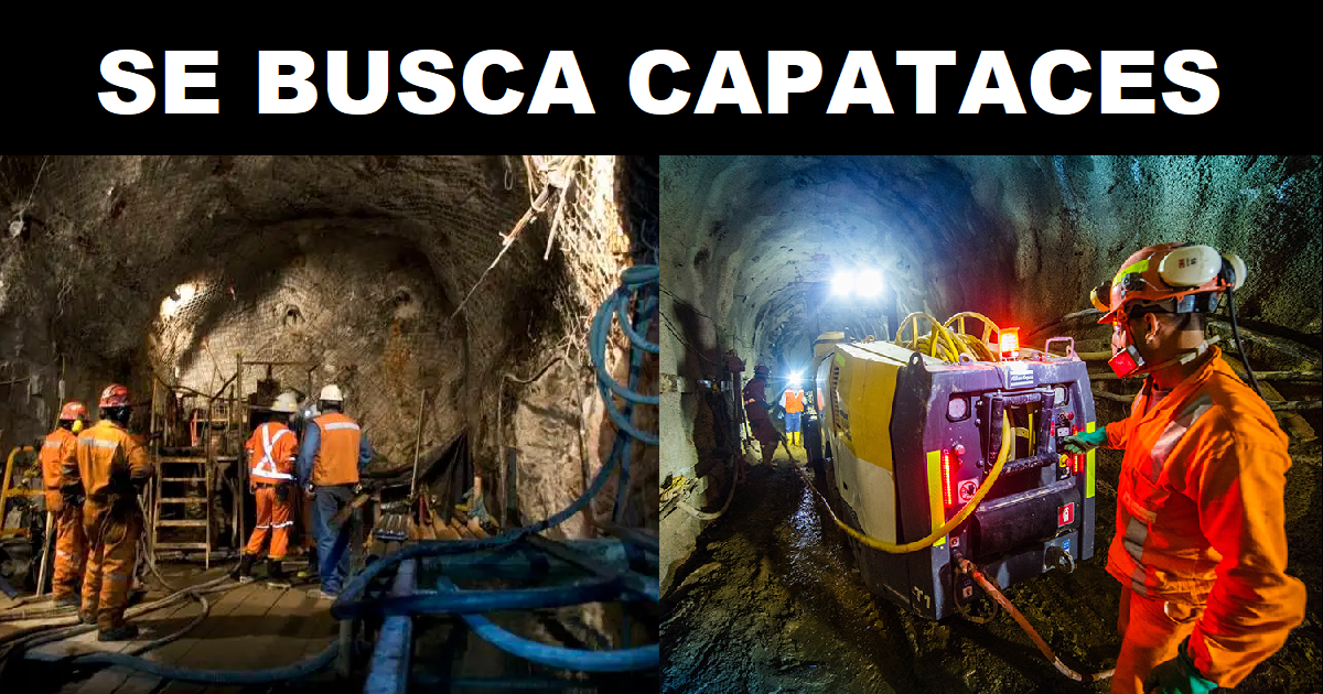 SE BUSCA CAPATACES